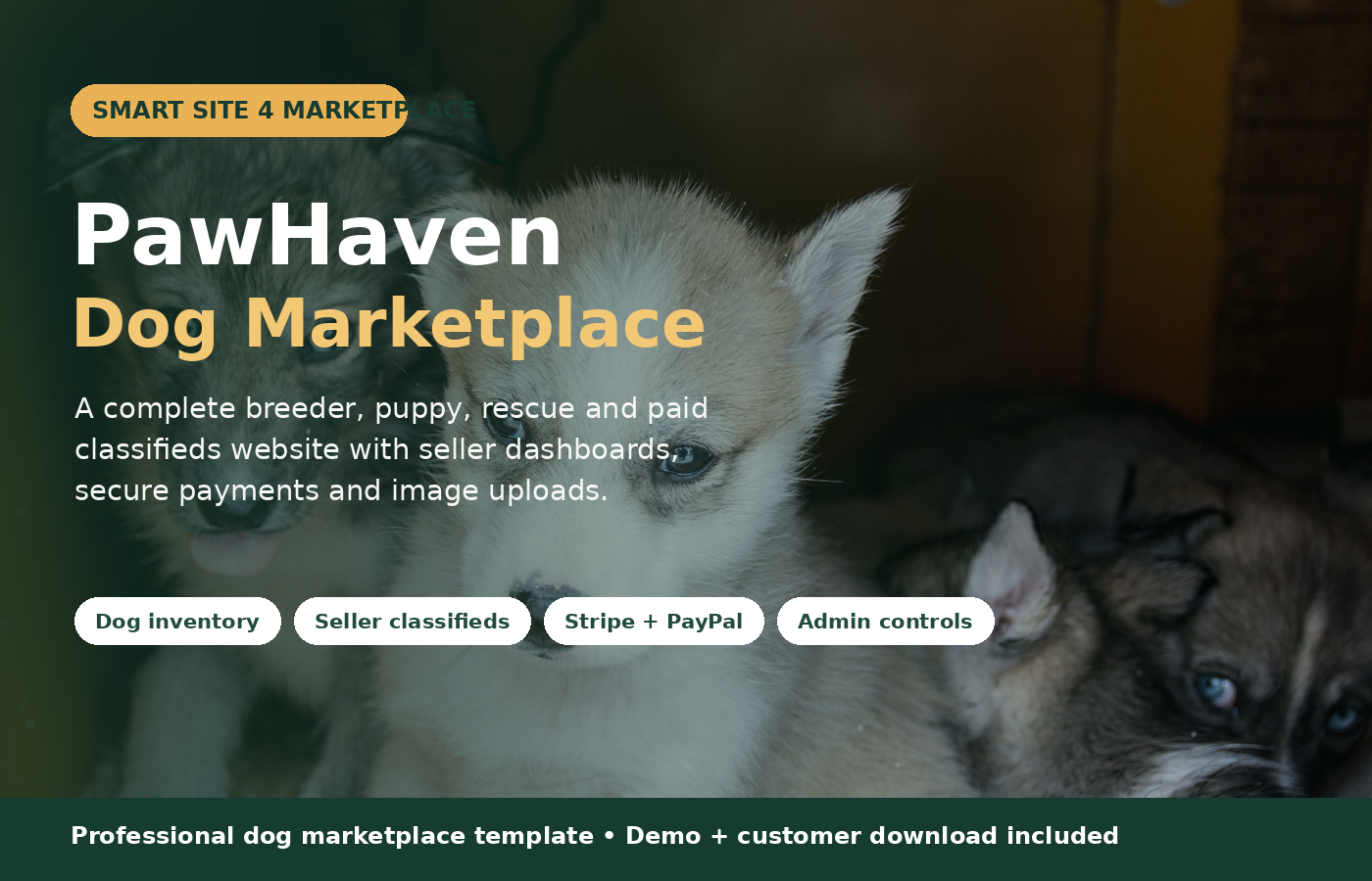 PawHaven Dog Marketplace